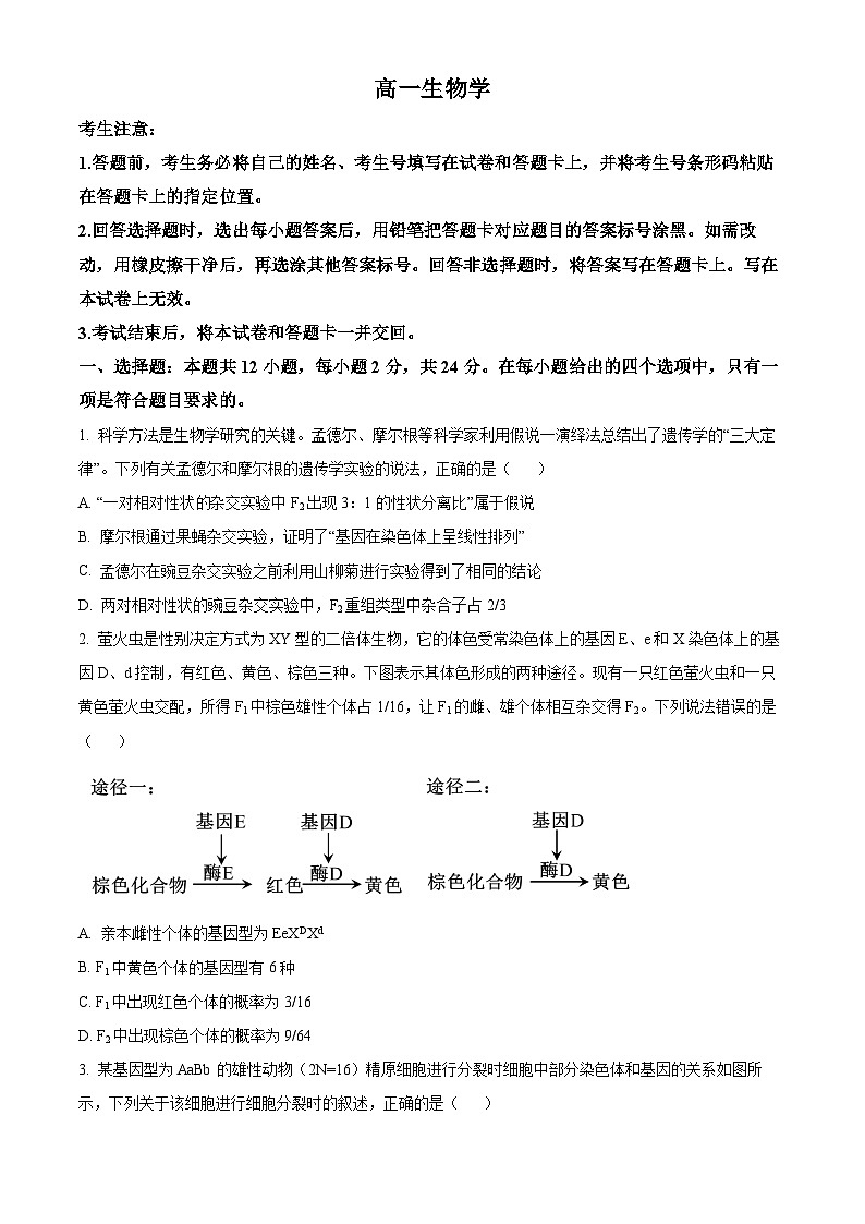 湖南省湖南省部分学校2023-2024学年高一下学期7月期末生物试题（原卷版）第1页