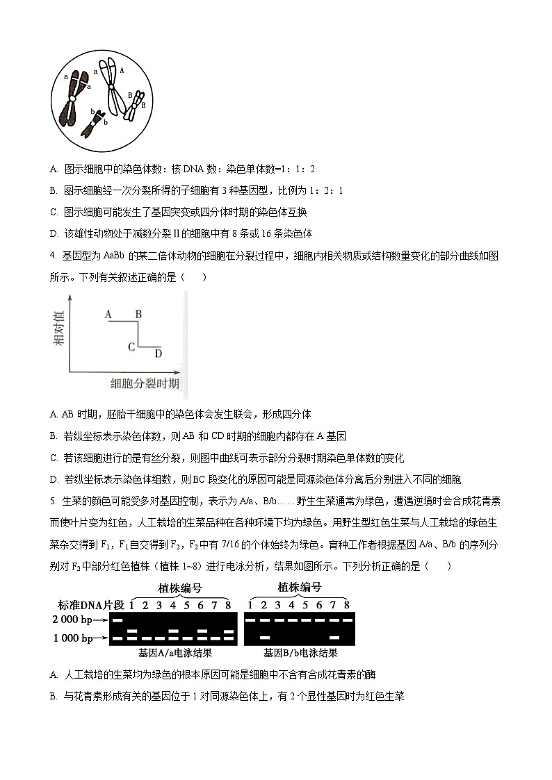 湖南省湖南省部分学校2023-2024学年高一下学期7月期末生物试题（原卷版）第2页