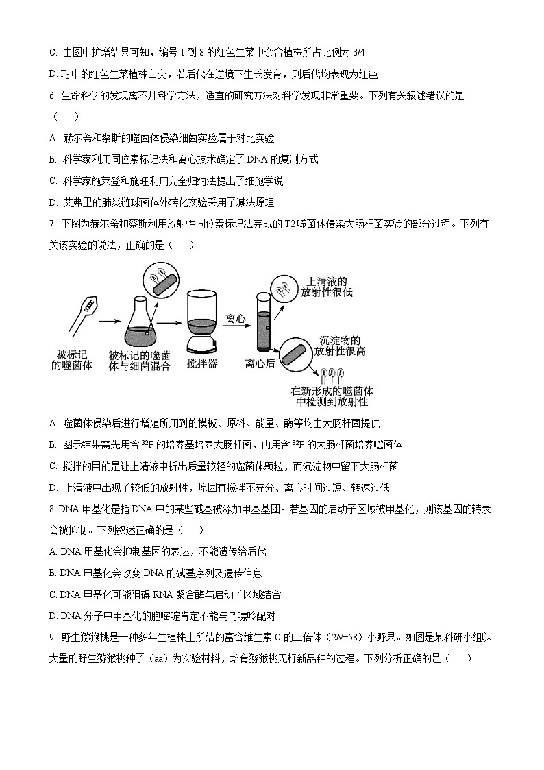 湖南省湖南省部分学校2023-2024学年高一下学期7月期末生物试题（原卷版）第3页