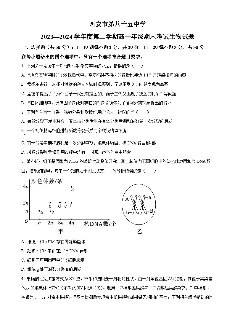 陕西省西安市雁塔区西安市第八十五中学2023-2024学年高一下学期6月期末生物试题（原卷版+解析版）01