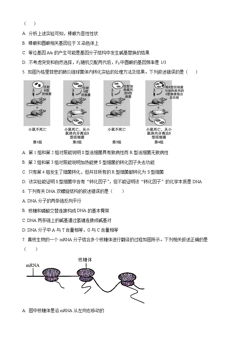陕西省西安市雁塔区西安市第八十五中学2023-2024学年高一下学期6月期末生物试题（原卷版+解析版）02