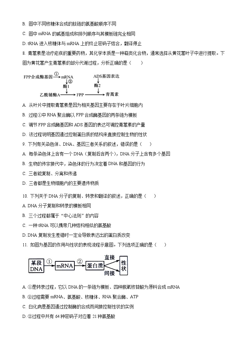陕西省西安市雁塔区西安市第八十五中学2023-2024学年高一下学期6月期末生物试题（原卷版+解析版）03