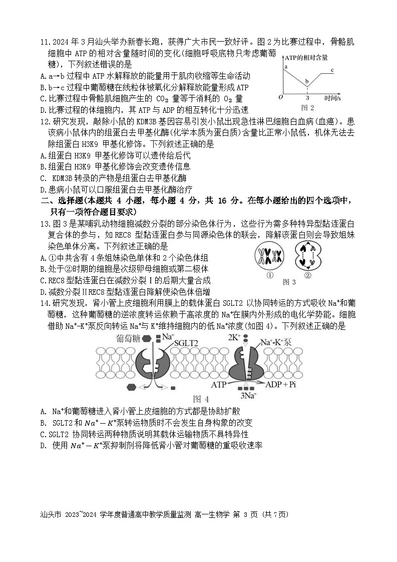 广东省汕头市2023-2024学年高一下学期期末考试生物试题第3页