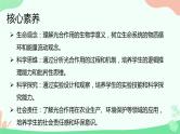【核心素养】人教版高中生物必修一5.4.2《光合作用的原理和应用》课件＋课时练习＋教案（含教学反思）