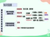 【核心素养】人教版高中生物必修一5.4.2《光合作用的原理和应用》课件＋课时练习＋教案（含教学反思）