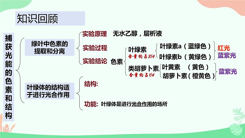 【核心素养】人教版高中生物必修一5.4.2《光合作用的原理和应用》课件＋课时练习＋教案（含教学反思）03