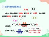 【核心素养】人教版高中生物必修一5.4.2《光合作用的原理和应用》课件＋课时练习＋教案（含教学反思）