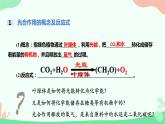 【核心素养】人教版高中生物必修一5.4.2《光合作用的原理和应用》课件＋课时练习＋教案（含教学反思）