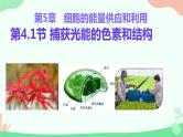 【核心素养】人教版高中生物必修一5.4.1《捕获光能的色素和结构》课件＋课时练习＋教案（含教学反思）