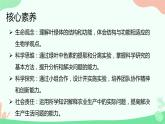 【核心素养】人教版高中生物必修一5.4.1《捕获光能的色素和结构》课件＋课时练习＋教案（含教学反思）