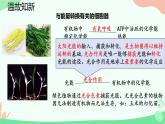 【核心素养】人教版高中生物必修一5.4.1《捕获光能的色素和结构》课件＋课时练习＋教案（含教学反思）