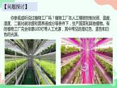 【核心素养】人教版高中生物必修一5.4.1《捕获光能的色素和结构》课件＋课时练习＋教案（含教学反思）