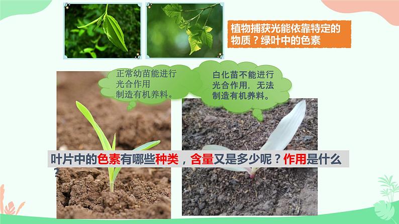 【核心素养】人教版高中生物必修一5.4.1《捕获光能的色素和结构》课件＋课时练习＋教案（含教学反思）07