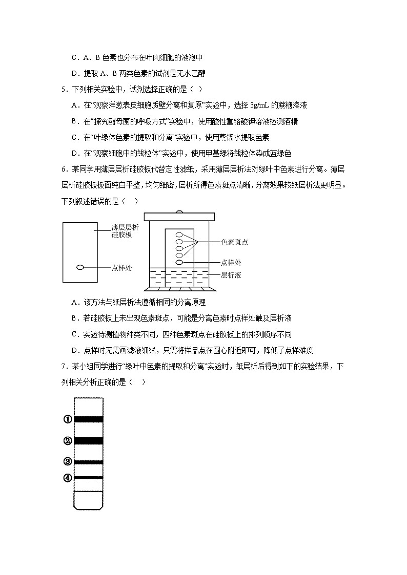 【核心素养】人教版高中生物必修一5.4.1《捕获光能的色素和结构》课件＋课时练习＋教案（含教学反思）02