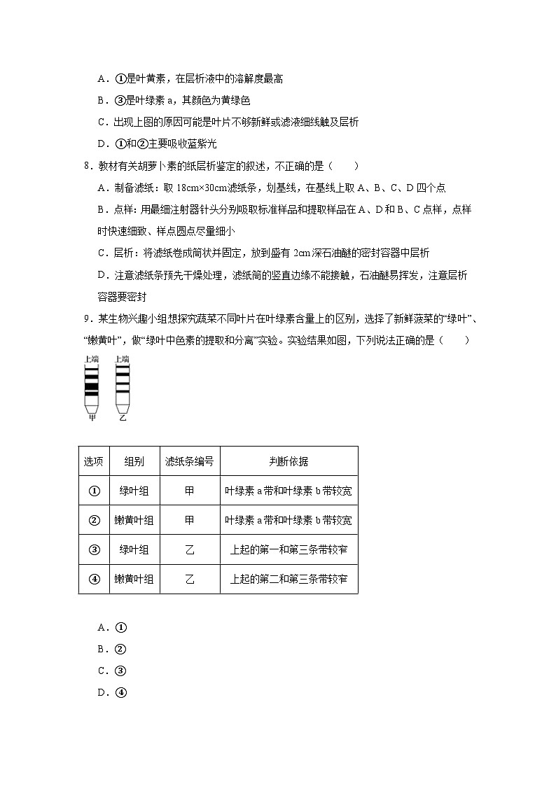 【核心素养】人教版高中生物必修一5.4.1《捕获光能的色素和结构》课件＋课时练习＋教案（含教学反思）03