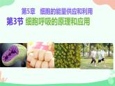 【核心素养】人教版高中生物必修一5.3《细胞呼吸的原理和应用》课件＋课时练习＋教案（含教学反思）