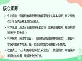 【核心素养】人教版高中生物必修一5.3《细胞呼吸的原理和应用》课件＋课时练习＋教案（含教学反思）