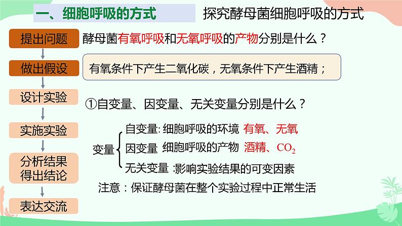 【核心素养】人教版高中生物必修一5.3《细胞呼吸的原理和应用》课件＋课时练习＋教案（含教学反思）07