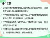 【核心素养】人教版高中生物必修一6.3《细胞的衰老和死亡》课件＋课时练习＋教案（含教学反思）