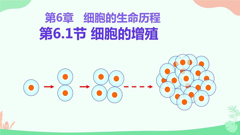 【核心素养】人教版高中生物必修一6.1《细胞的增殖》课件＋课时练习＋教案（含教学反思）01