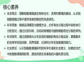 【核心素养】人教版高中生物必修一6.1《细胞的增殖》课件＋课时练习＋教案（含教学反思）