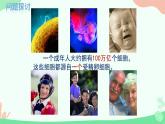【核心素养】人教版高中生物必修一6.1《细胞的增殖》课件＋课时练习＋教案（含教学反思）