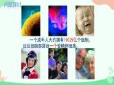 【核心素养】人教版高中生物必修一6.1《细胞的增殖》课件＋课时练习＋教案（含教学反思）