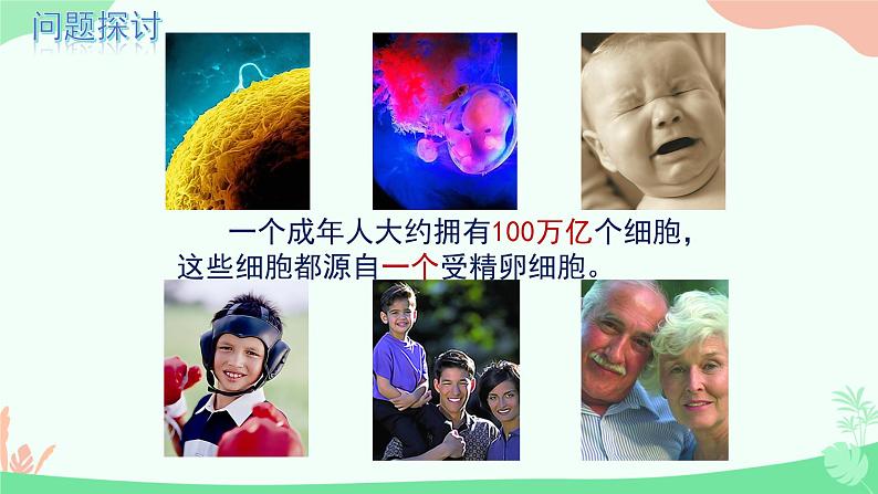 【核心素养】人教版高中生物必修一6.1《细胞的增殖》课件＋课时练习＋教案（含教学反思）04