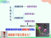 【核心素养】人教版高中生物必修一6.1《细胞的增殖》课件＋课时练习＋教案（含教学反思）
