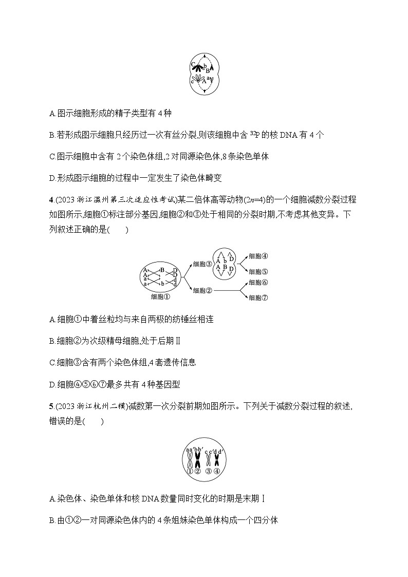 浙科版高考生物一轮复习热点练4细胞增殖与遗传变异含答案02