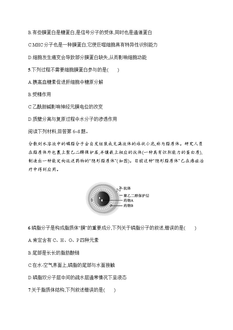 浙科版高考生物一轮复习作业3细胞学说与细胞膜含答案第2页