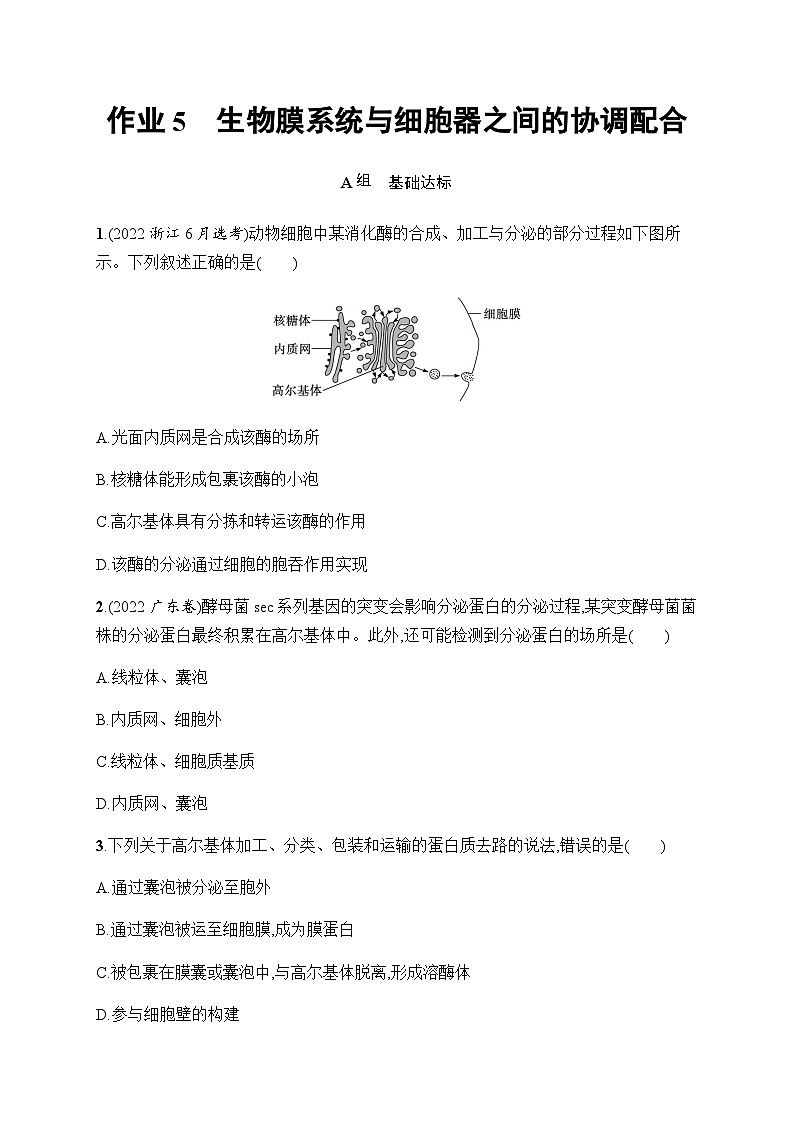 浙科版高考生物一轮复习作业5生物膜系统与细胞器之间的协调配合含答案第1页