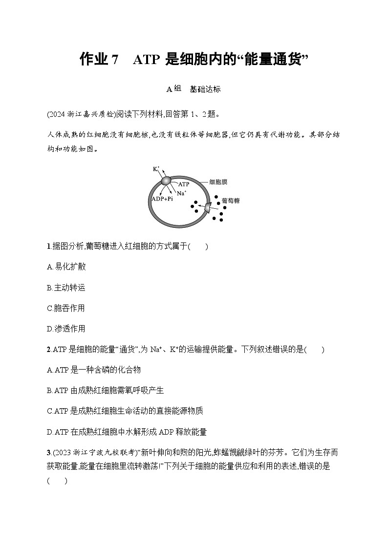 浙科版高考生物一轮复习作业7ATP是细胞内的“能量通货”含答案第1页