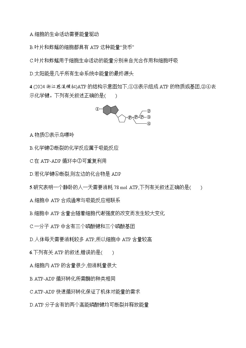浙科版高考生物一轮复习作业7ATP是细胞内的“能量通货”含答案第2页