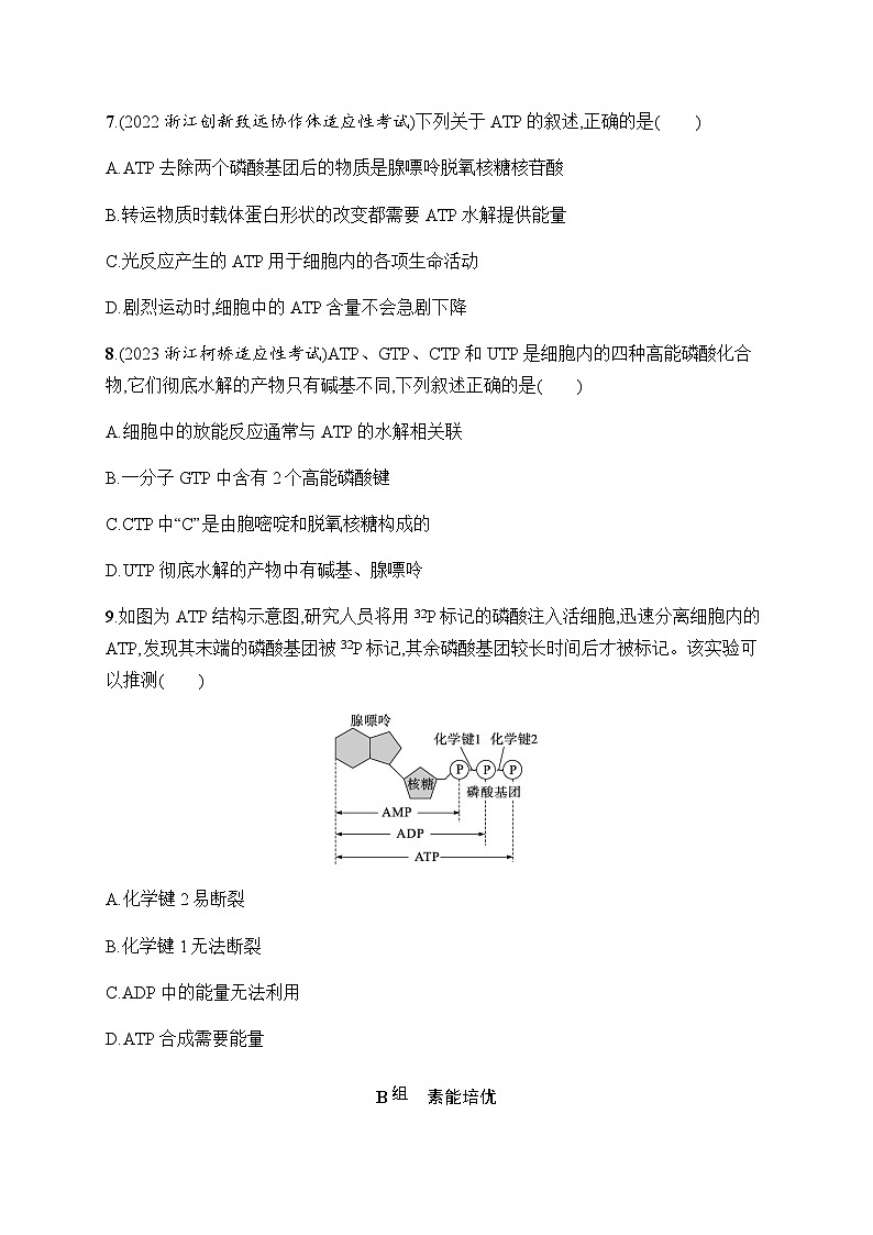 浙科版高考生物一轮复习作业7ATP是细胞内的“能量通货”含答案第3页