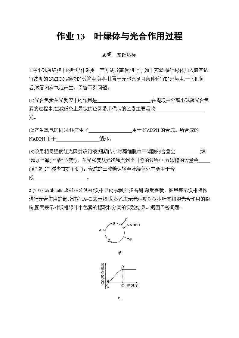 浙科版高考生物一轮复习作业13叶绿体与光合作用过程含答案第1页