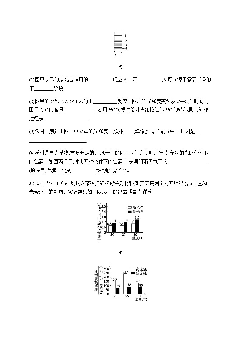 浙科版高考生物一轮复习作业13叶绿体与光合作用过程含答案第2页