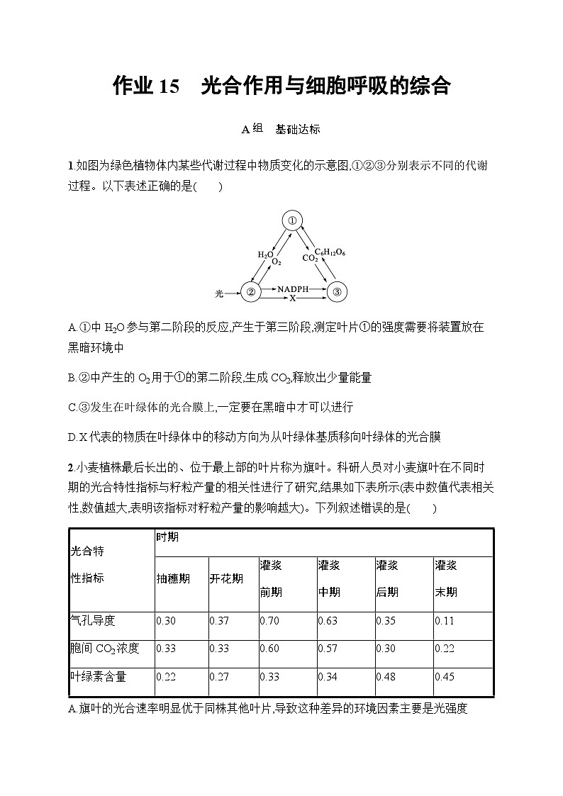 浙科版高考生物一轮复习作业15光合作用与细胞呼吸的综合含答案第1页