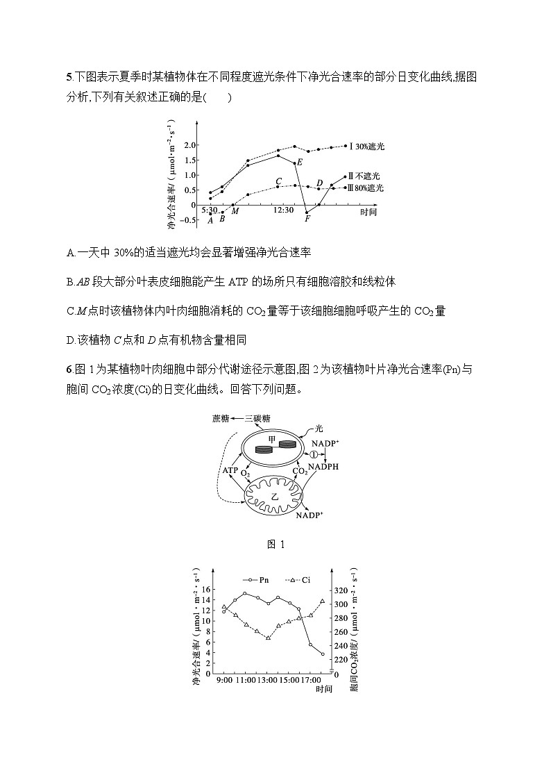 浙科版高考生物一轮复习作业15光合作用与细胞呼吸的综合含答案第3页