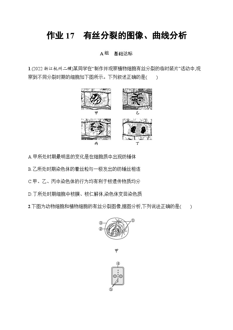 浙科版高考生物一轮复习作业17有丝分裂的图像、曲线分析含答案01