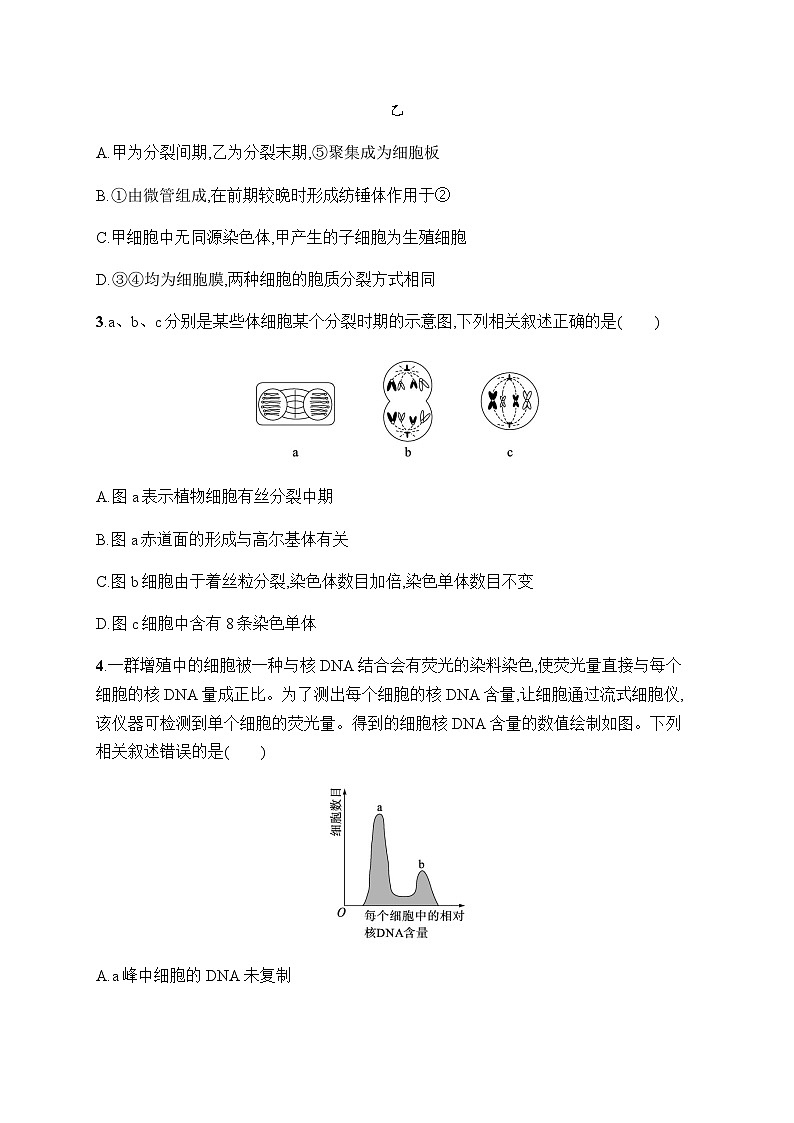 浙科版高考生物一轮复习作业17有丝分裂的图像、曲线分析含答案02