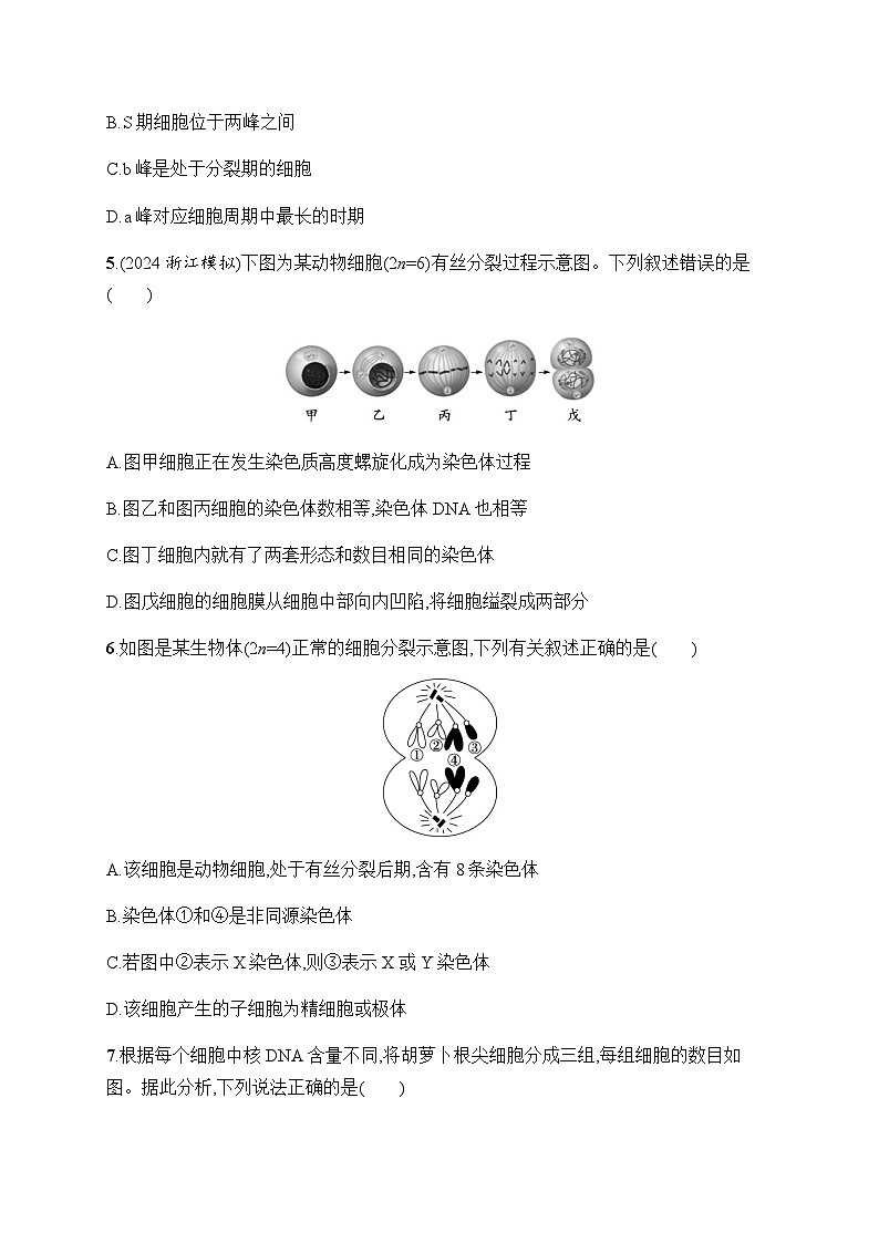 浙科版高考生物一轮复习作业17有丝分裂的图像、曲线分析含答案03