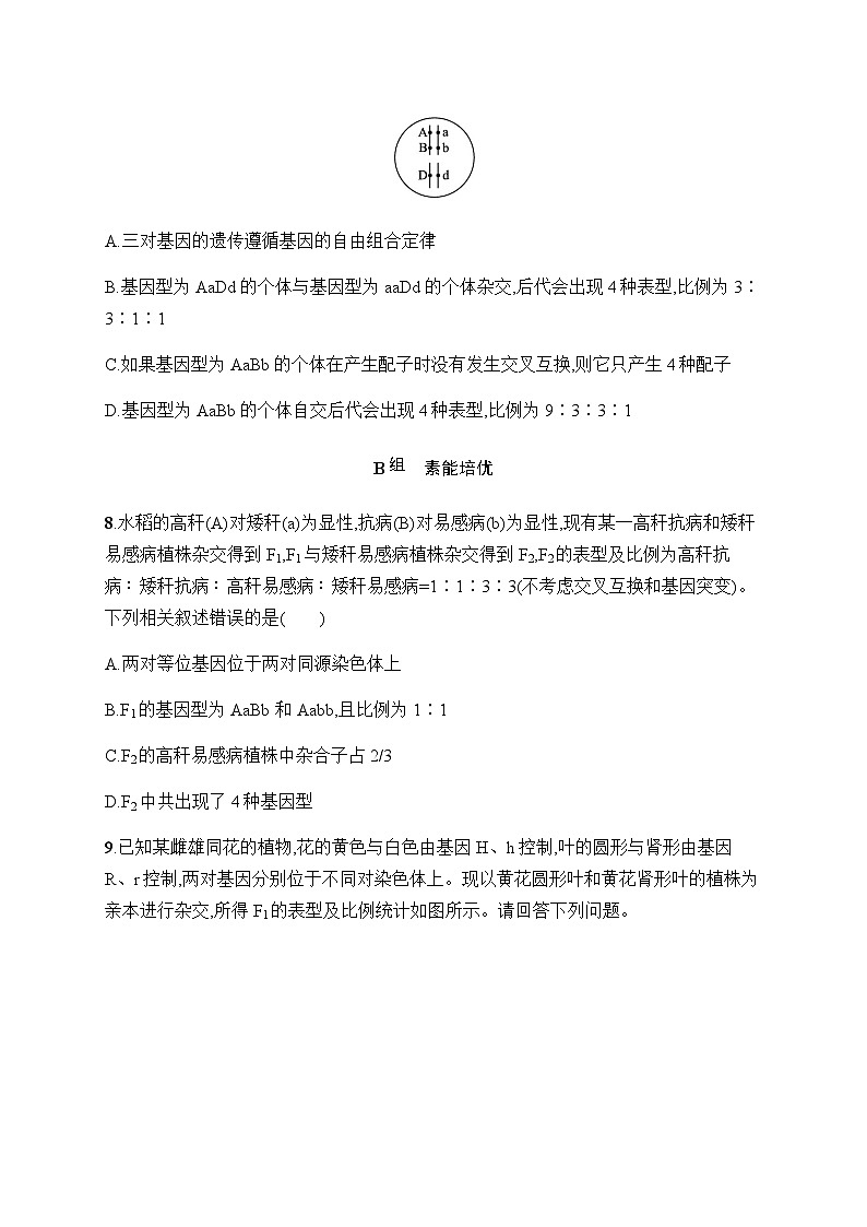 浙科版高考生物一轮复习作业23自由组合定律及其应用含答案第3页