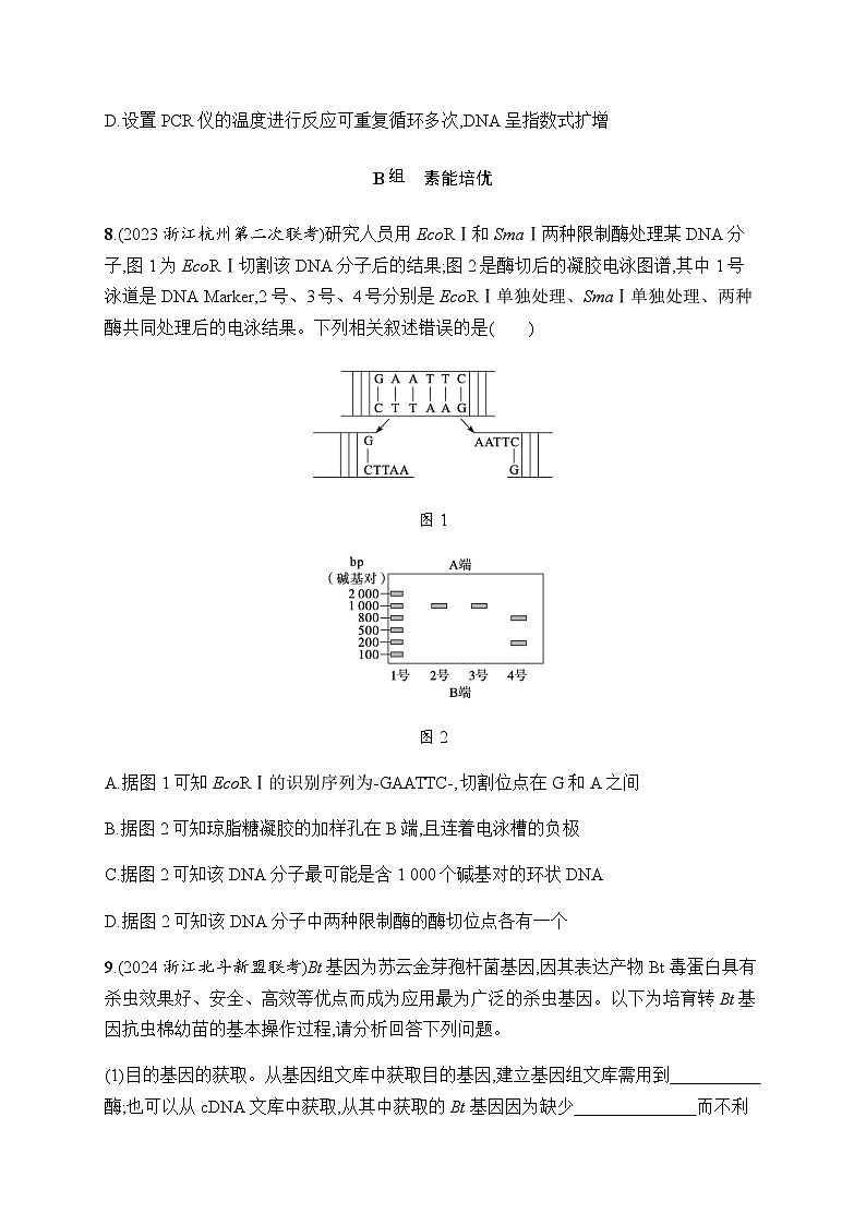 浙科版高考生物一轮复习作业58基因工程的原理和技术含答案03