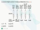 浙科版高考生物一轮复习热点练1与酶相关的实验课件