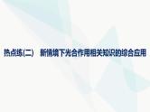浙科版高考生物一轮复习热点练2新情境下光合作用相关知识的综合应用课件