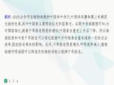 浙科版高考生物一轮复习热点练2新情境下光合作用相关知识的综合应用课件