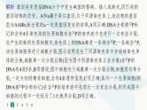 浙科版高考生物一轮复习热点练4细胞增殖与遗传变异课件