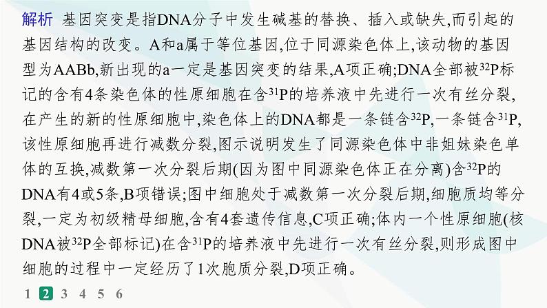 浙科版高考生物一轮复习热点练4细胞增殖与遗传变异课件05