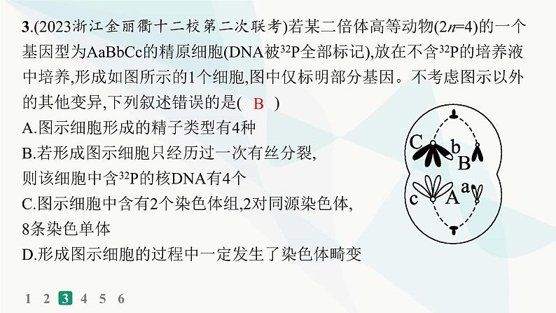 浙科版高考生物一轮复习热点练4细胞增殖与遗传变异课件06